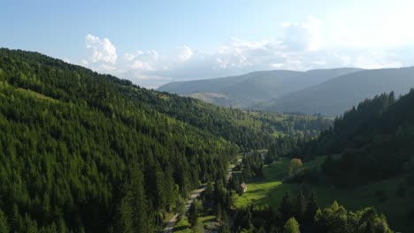 Vista-De-Las-Montañas-Verdes-Del-Bosque-De-Coníferas-En-Palanca-En-El-Condado-De-Bacau,-Moldavia-Occidental,-Rumania