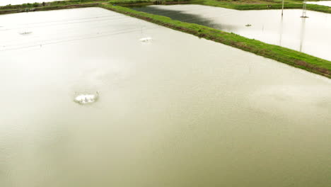 Panoramic-drone-shot-of-shrimp-farming-pools