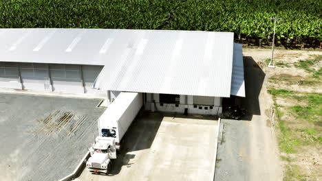 Panoramic-drone-shot-of-warehouse-and-banana-plantation