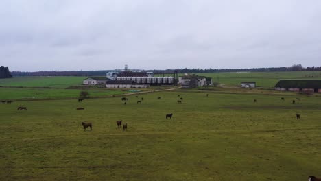 Gloomy-overcast-day-in-countryside-with-horses-and-farm,-aerial-view