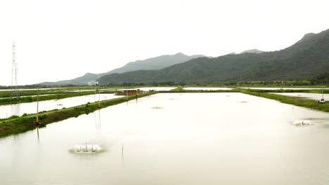 Panoramic-drone-shot-of-shrimp-farming-pools,-Ecuador