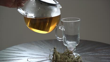 Pouring-of-cerasee-tea-kerala-bitter-melon-plant-with-kerala-hanging-from-vines-used-to-make-herbal-healthy-tea-good-for-weight-loss