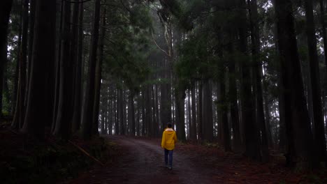 Rear-shot-of-a-man-wearing-a-yellow-raincoat-walking-through-a-dark-forest