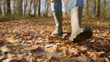 Walking-with-high-cut-boots-on-dried-leaves-in-the-middle-of-the-forest-while-wearing-jeans,-low-angle-tracking-shot