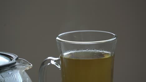 Schöne-Nahaufnahme-Der-Teepflanze-Cerasee-Kerala-Bittermelone-Mit-Kerala,-Die-An-Weinreben-Hängt,-Die-Zur-Zubereitung-Von-Gesundem-Kräutertee-Zum-Abnehmen-Verwendet-Werden