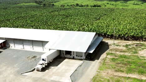 Panoramic-drone-shot-of-warehouse-and-banana-plantation