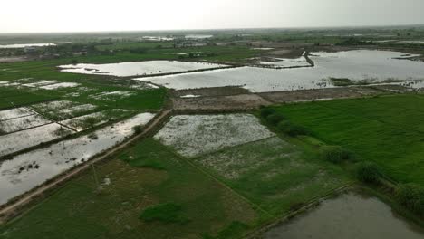 Campos-Agrícolas-Inundados-En-Una-Aldea-Cerca-De-Mirpur-Khas,-Sindh,-Desde-Arriba