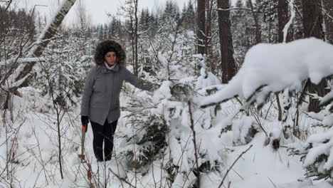 Woman-found-Christmas-tree-for-home-in-snow-covered-forest,-shakes-snow-off