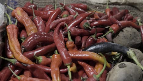 Giant-red-chilli-pepper-at-vegetable-store-for-sale-at-evening