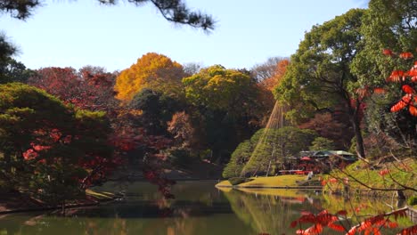 Stunning-Rikugien-Landscape-garden-in-Tokyo-during-autumn-colors-in-slow-motion