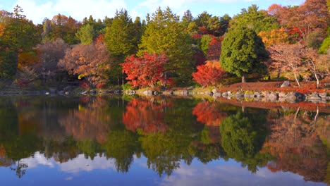 Stunning-fall-color-reflections-in-water-inside-Japanese-landscape-garden