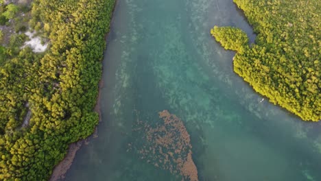 Bird's-eye-aerial-of-natural-beauty-near-Punta-Nizuc-bridge-in-Cancun-Mexico-The-vibrant-greenery-contrasts-the-azure-waters-of-the-Caribbean-Sea-that-envelop-the-surroundings