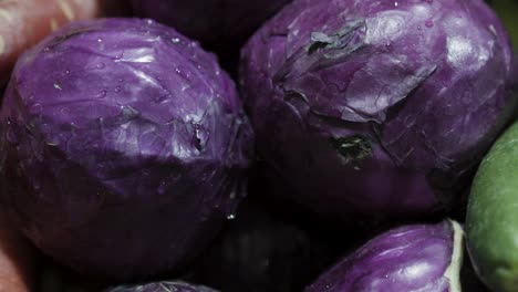 purple-cabbage-at-vegetable-store-for-sale-at-evening