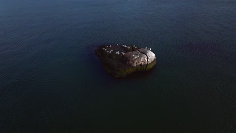 Eine-Luftaufnahme-über-Die-Ruhigen-Gewässer-Des-Long-Island-Sound-Vor-Long-Island,-New-York