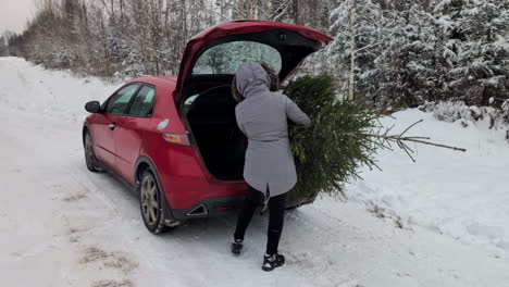 Woman-carrying-Christmas-tree-into-car-from-white-woodland-area