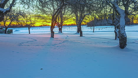 Time-lapse-sunrise-in-frozen-winter-wonderland-landscape-in-the-woods-of-Latvia