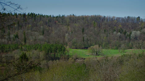 Fernblick-Auf-Den-Wald-Im-Frühling-über-Einem-Grünen-Tal
