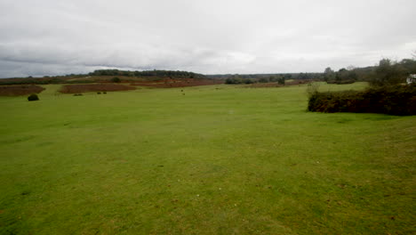 shot-looking-south-of-Horseshoe-Bottom-and-Longslade-Heath-in-the-New-Forest
