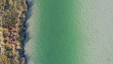 Drone-shot-of-blue-ocean-waters-in-tidal-flats-area,-aerial-footage