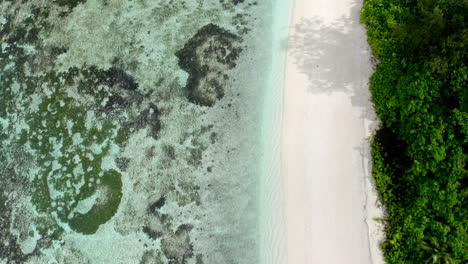 Top-Down-aerial-drone-view-of-picturesque-tropical-deserted-beach-in-the-Seychelles-Islands