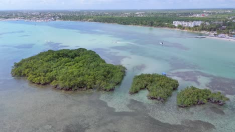 Die-Insel-La-Matica-Ist-Ein-Vogellebensraum-Im-Touristenstrandgebiet-In-Boca-Chica,-Dominikanische-Republik