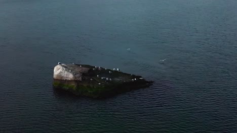 Eine-Luftaufnahme-über-Die-Gewässer-Des-Long-Island-Sound-Vor-Long-Island,-New-York