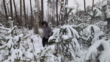 Junge-Frau-Schleppt-Frisch-Geschnittenen-Weihnachtsbaum-Durch-Weißen,-Verschneiten-Wald