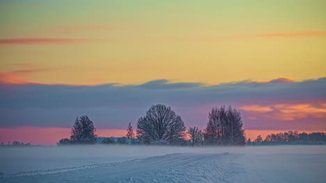 Time-lapse-winter-wonderland-early-morning-frozen-snow-tree-in-rural-landscape-of-Latvia