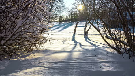 Naturaleza-Congelada-Con-Nieve-Durante-La-Puesta-De-Sol-En-El-Bosque-De-Riga,-Lapso-De-Tiempo-De-Letonia