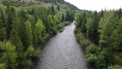 peaceful-slowly-moving-river-surrounded-by-aspen-and-pine-trees-in-Silverthorne-colorado-AERIAL-DOLLY-PAN