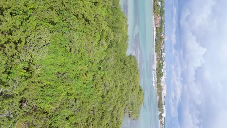 Die-Insel-La-Matica-Ist-Ein-Vogellebensraum-Am-Touristenstrand-In-Boca-Chica,-Dominikanische-Republik.-Vertikale-Aufnahme