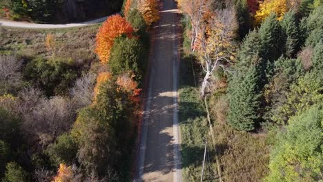 Aerial-flying-over-road-in-autumn,-car-traveling-between-trees-with-colorful-leaves