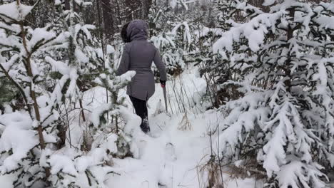 Young-person-holding-saw-while-walking-on-snowy-forest,-back-view
