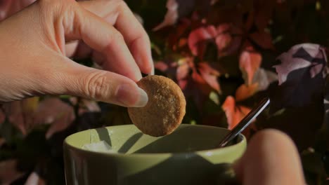 Woman-dipping-biscuit-in-tea-cup-in-autumn,-close-up