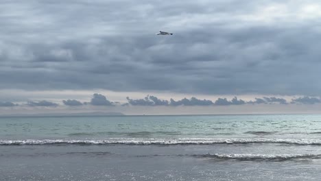 Slow-motion-video-capture-of-lone-seagull-bird-flying-over-sea-waves