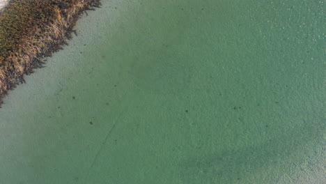 Drone-shot-of-tidal-flat-with-clear-blue-water-and-small-island,-coastal-aerial