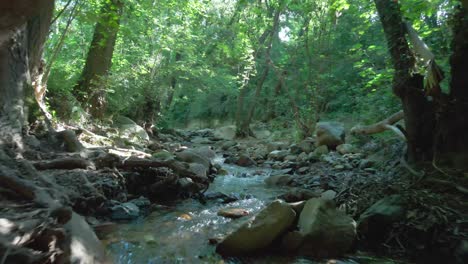Parque-Ambiental-De-Gualba,-Exploración-Fluvial