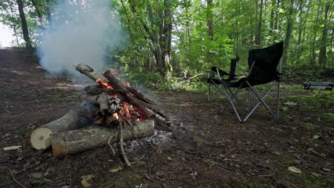 A-Stack-Of-Woods-On-Fire-At-An-Open-Area-Surrounded-By-Trees-With-A-Camping-Chair