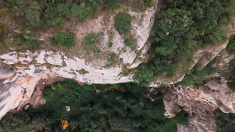 Drone-top-down-shot,-ascending-over-an-epic-cliff-surrounded-by-lush-green-overgrowth-on-an-overcast-day