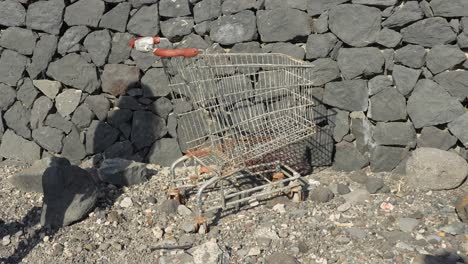 Static,-woman-found-abandoned-old-rusty-shopping-cart-near-pebbly-beach