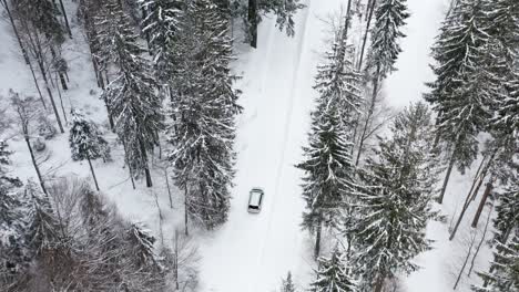 White-car-drives-over-snow-covered-road-in-forest-on-the-edge-of-ski-area-with-a-group-of-skiers