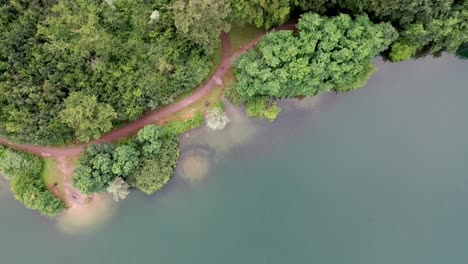 Cycle-path-along-clear-lake,-drone-top-view