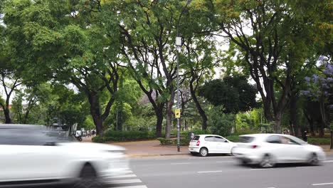 Urban-Landscape-of-Irlanda-Park-with-Green-Jacaranda-Trees-Buenos-Aires-City-Car-Drives-Through-Gaona-Avenue,-Caballito