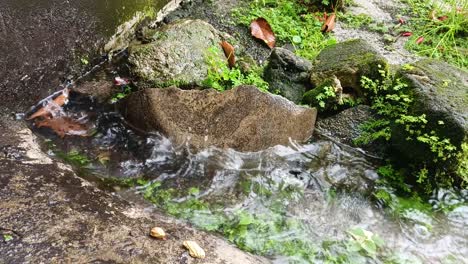 rainwater-falling-on-mossy-rocks