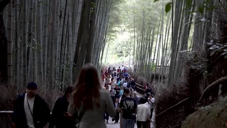 Multitudes-Ocupadas-Caminando-Por-Un-Sendero-Bordeado-De-árboles-De-Bambú-En-Arashiyama.
