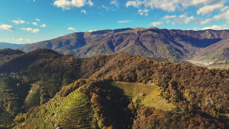 Luftpanoramablick-über-Italienische-Prosecco-Hügel,-Weinbergreihen,-Mit-Bergen-Im-Hintergrund