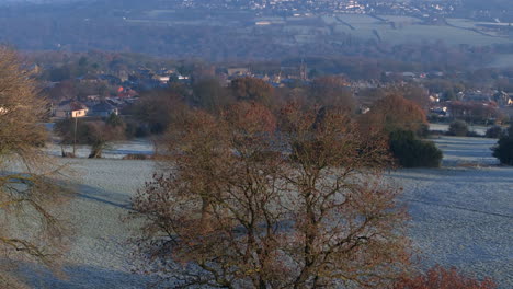 Aufsteigende-Luftdrohnenaufnahme-über-Bäumen-An-Frostigem-Morgen-Mit-Calverley-Dorf-Im-Hintergrund