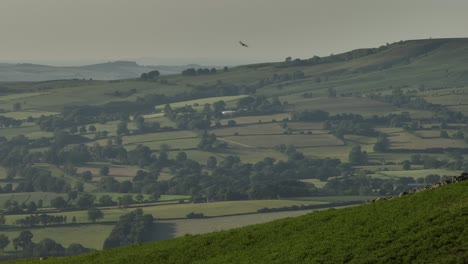 Vögel-Fliegen-Mehlschwalben-Im-Ländlichen-England,-Luftaufnahme-Von-Cleehill,-Shropshire