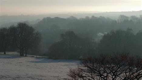 Aerial-Drone-Shot-with-Long-Lens-on-Frosty-Morning-of-Trees-and-Frosted-Fields-and-Mist