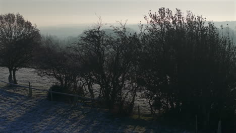 Low-Aerial-Drone-Shot-on-Misty-Frosty-Winter-Morning-of-Trees-and-Fields